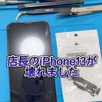 画像407